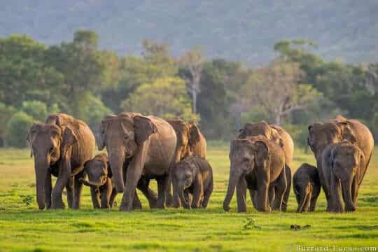 Cochin Munnar Thekkady Alleppey Houseboat Tour – 4 Nights / 5 Days