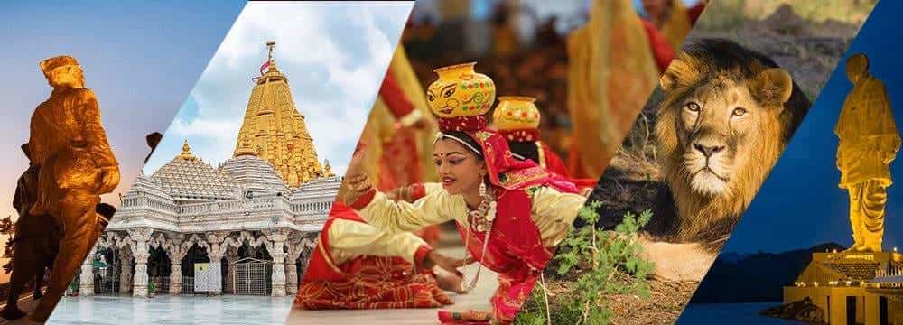 Make Every Trip More Special with a Gujarat Tour Package